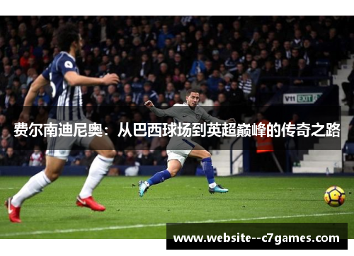 费尔南迪尼奥：从巴西球场到英超巅峰的传奇之路