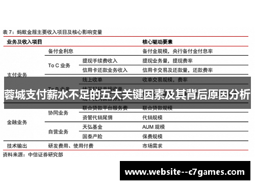 蓉城支付薪水不足的五大关键因素及其背后原因分析 蓉城支付薪水不足的五大关键因素及其背后原因分析